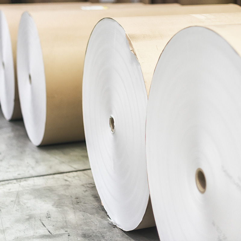 Mga Roll ng Filter na Papel